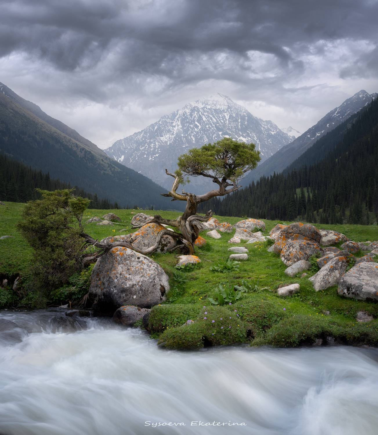 , Екатерина Сысоева