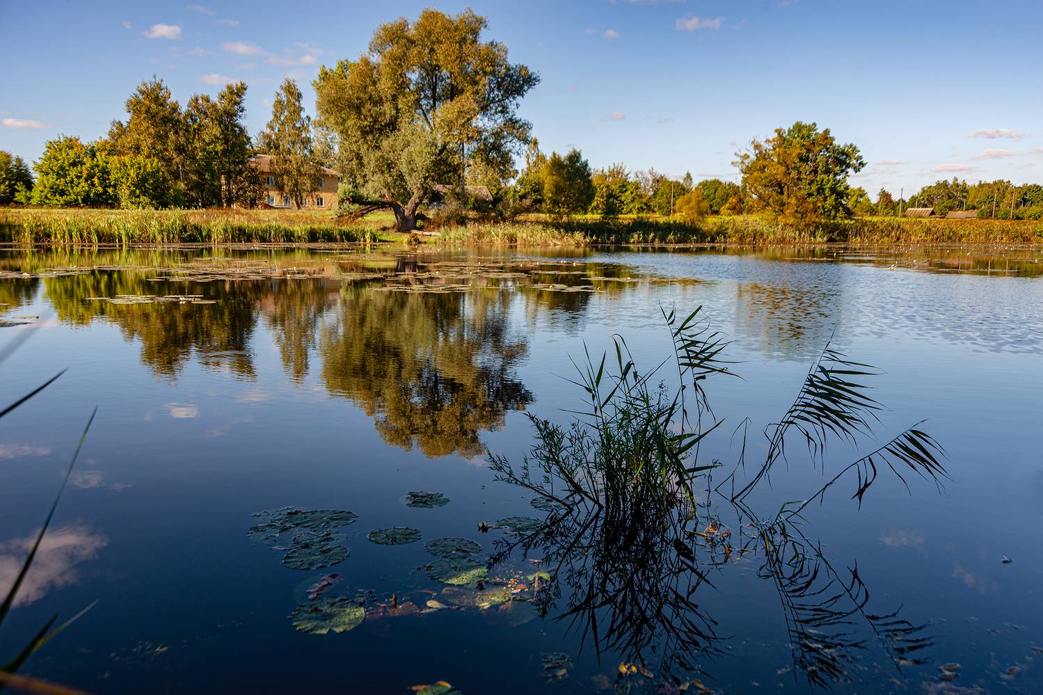, Владимир Ноздрачев