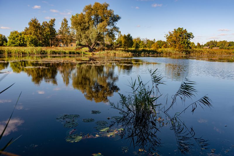 Тишина на воде фото превью