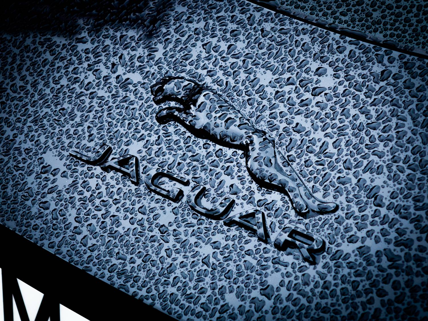 , Подрезов Алексей