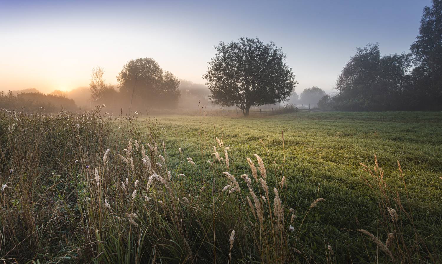 утро, торбеево, Зеленько Дмитрий