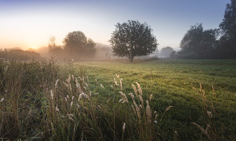 утро, торбеево Рассвет.. фото превью