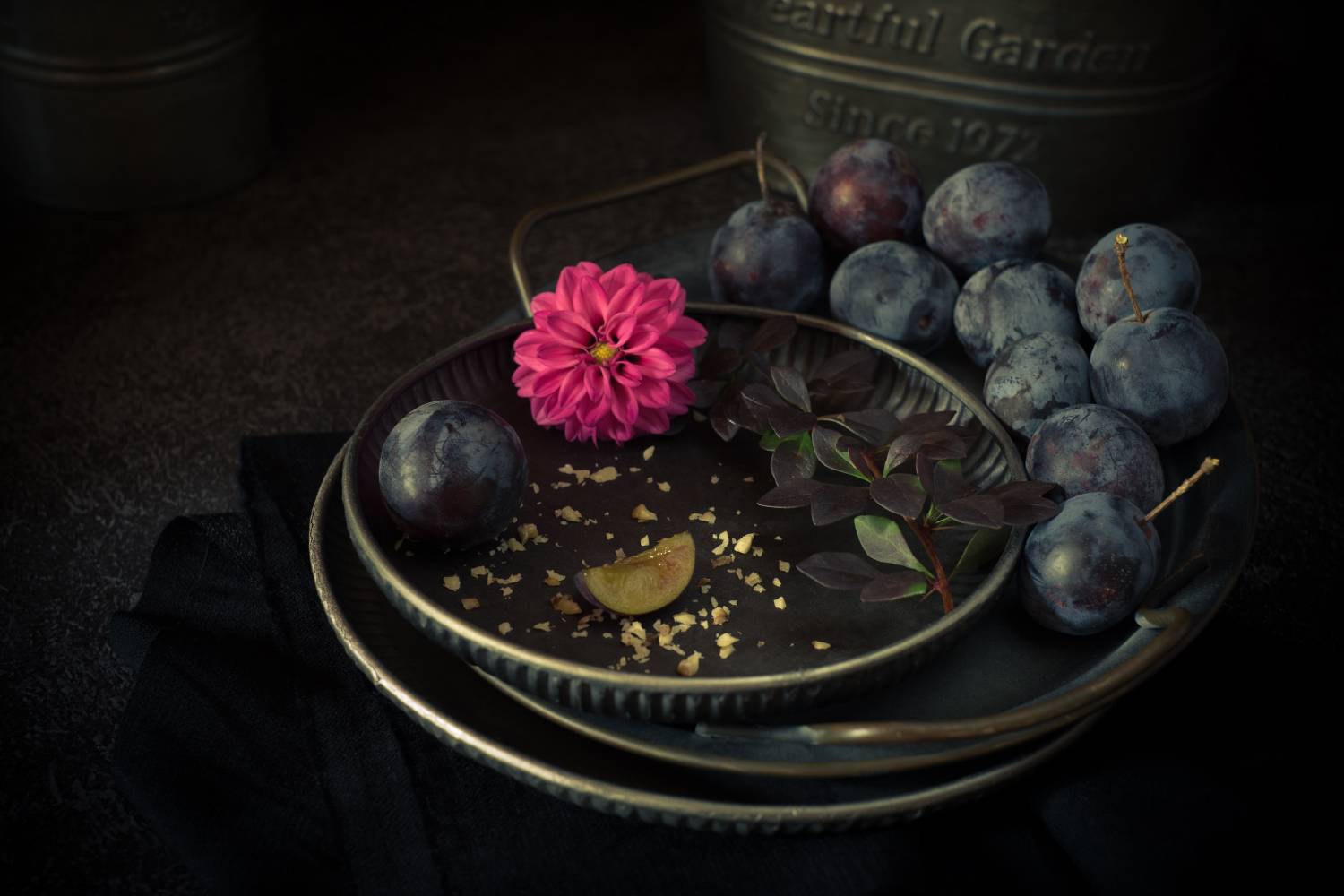 лето, слива, георгин, барбарис, натюрморт, Александр Азаренков