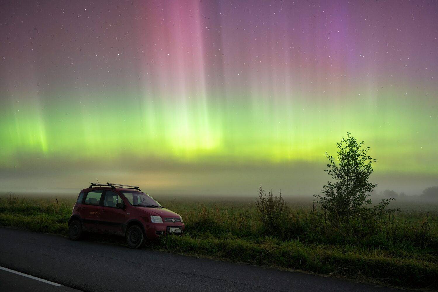 , Третьякова Анастасия