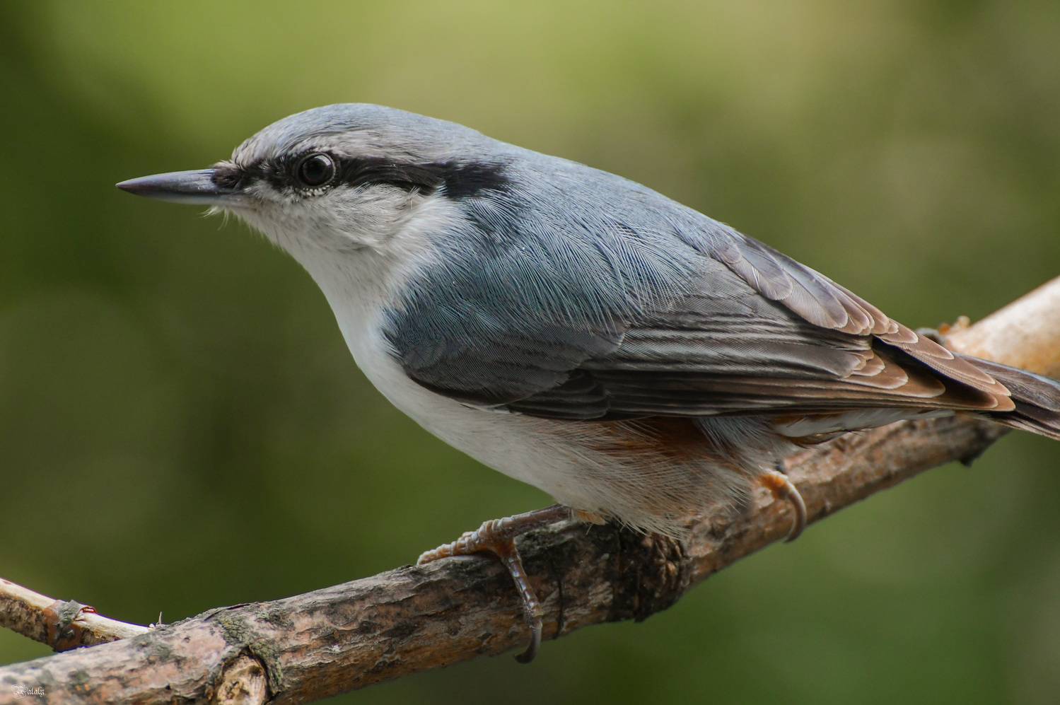 , Наталья Екимова
