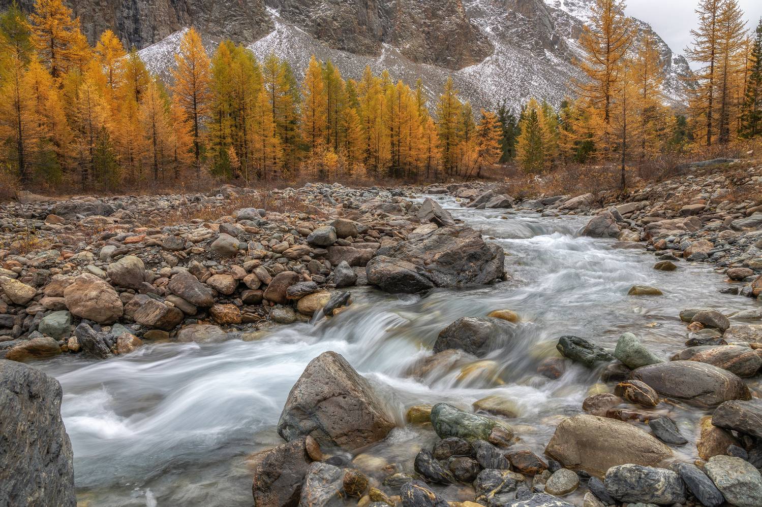 Алтай, Гусева Елена