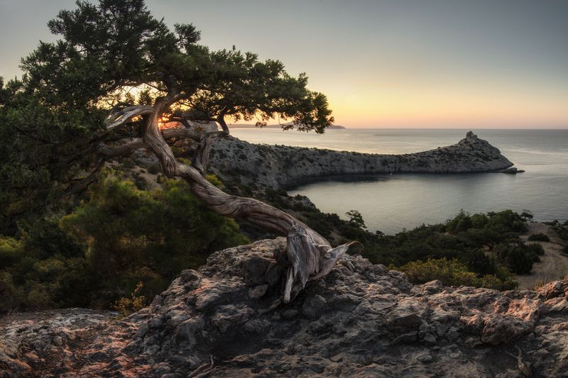 Крым, Россия, Рассвет Мыс Капчик фото превью