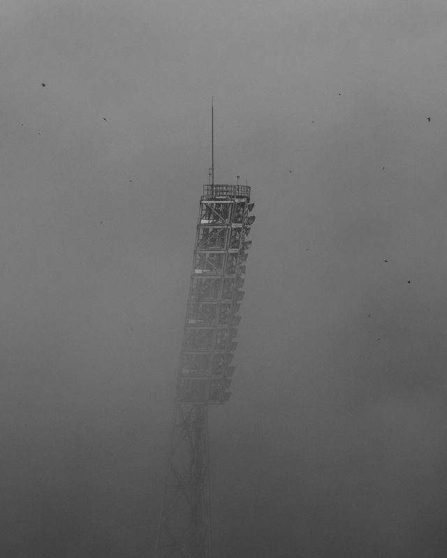 The fog фото превью