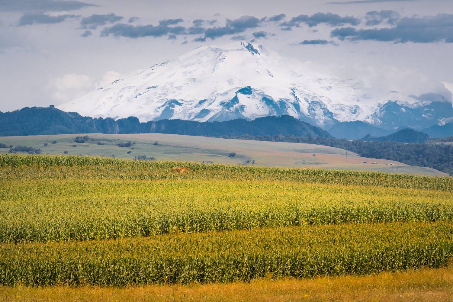 эльбрус, военно-сухумская дорога, кавказ, Сергей Студнев