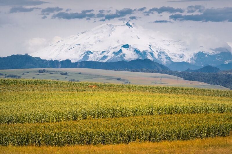 эльбрус, военно-сухумская дорога, кавказ Август с видом на Эльбрус фото превью