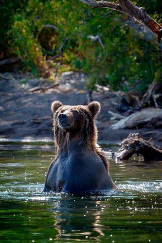 Где, кто, что?