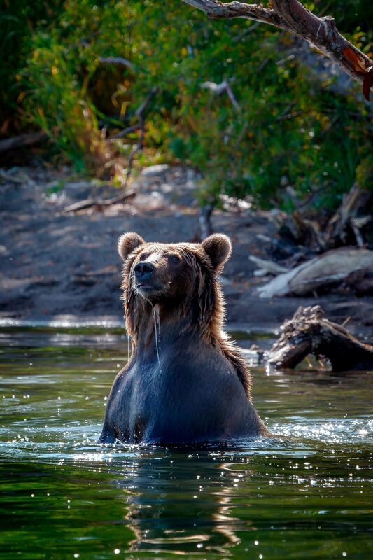 Где, кто, что? фото превью