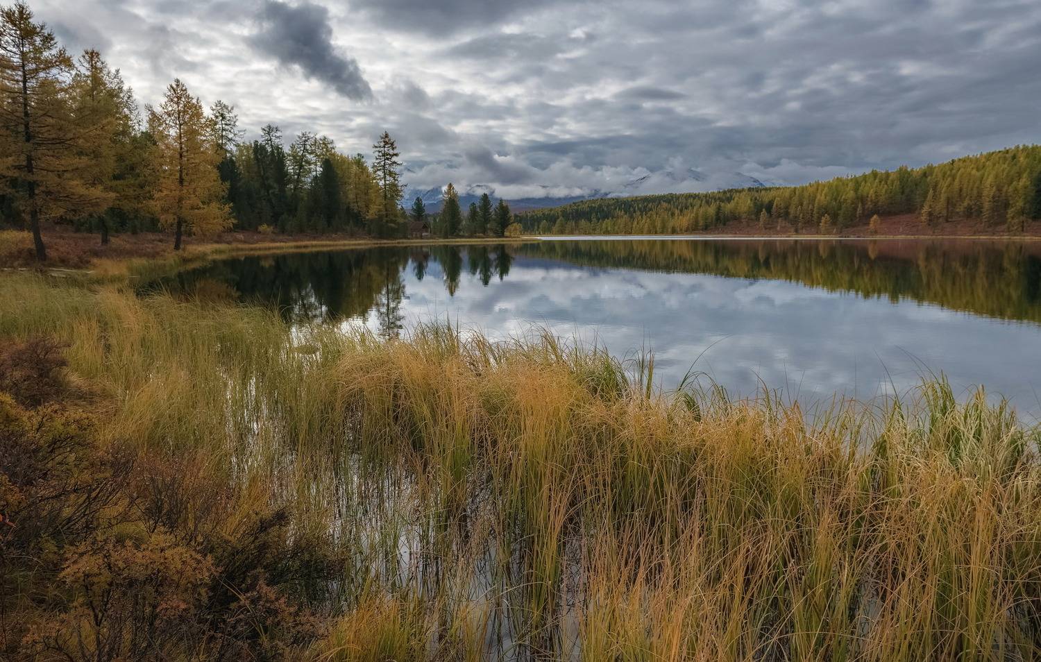 алтай, осень, киделю, берег, травы, тишина, Марина Фомина