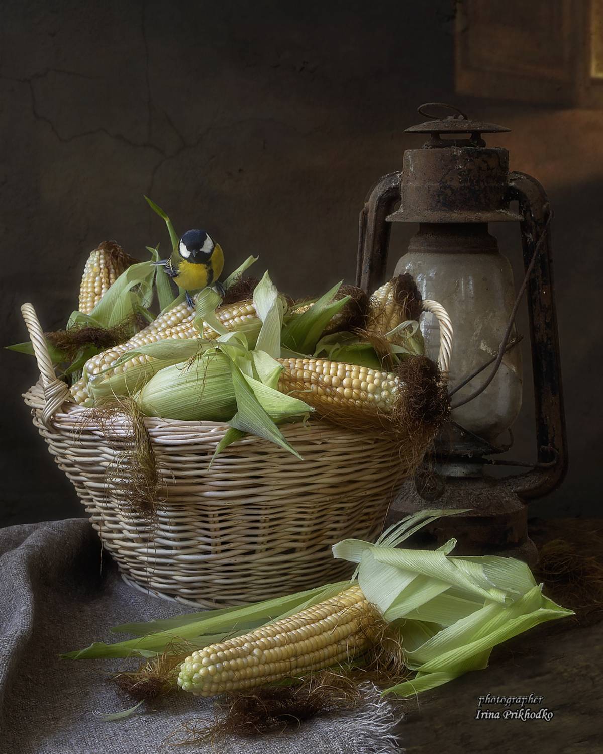 натюрморт, урожай, кукуруза, Приходько Ирина