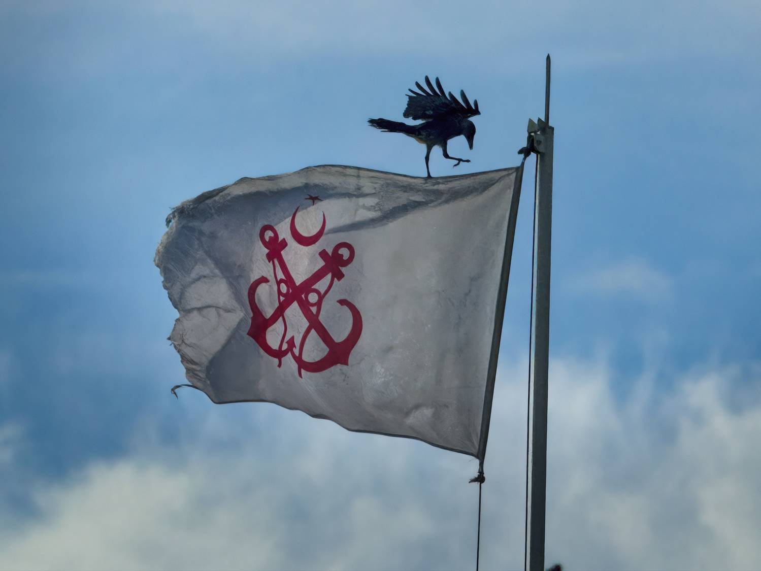 flag, wind, crow, bird, flagpole, maritime, Shpek Andrey