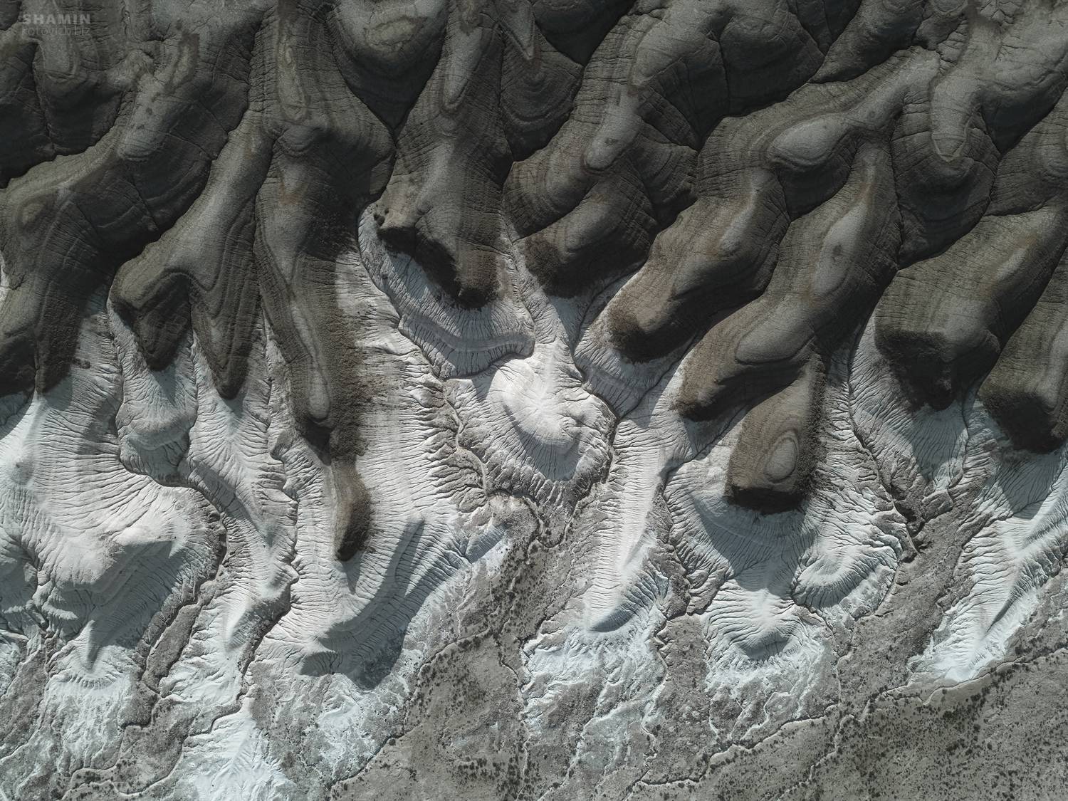 , Константин Шамин