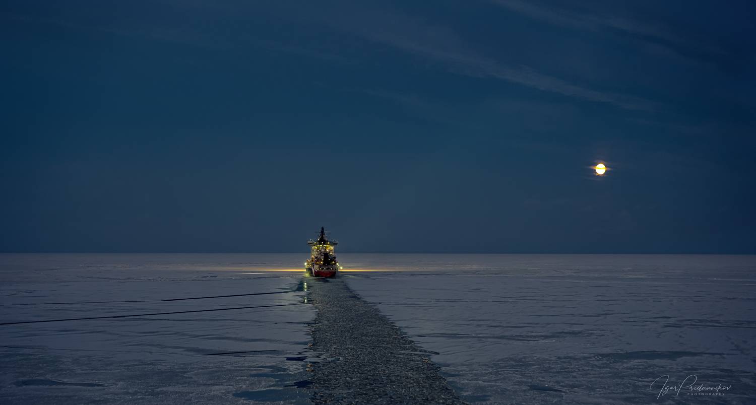проводка, ледокол, арктика, север, Игорь Приданников