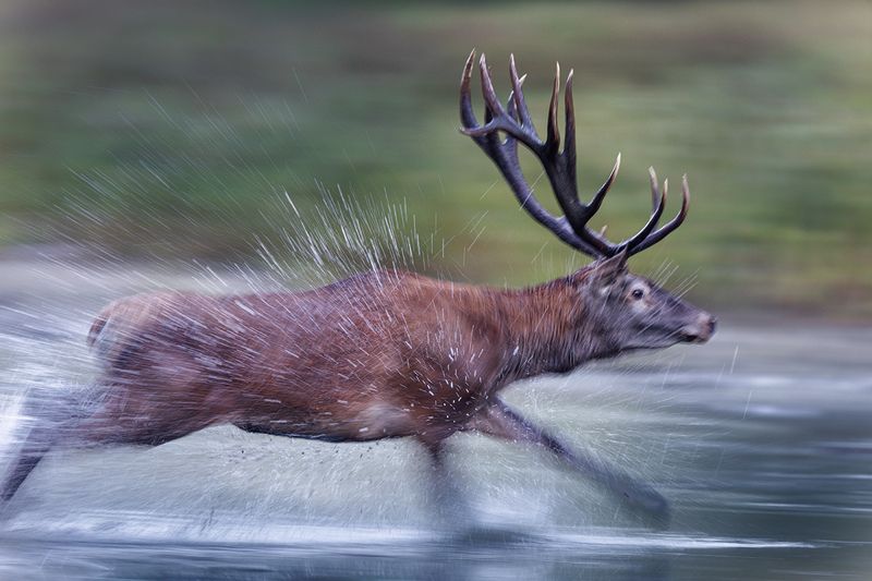 *** фото превью