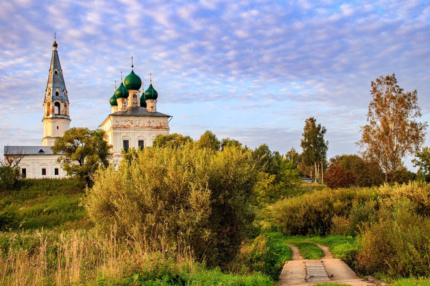 , Добролюбова Тамара