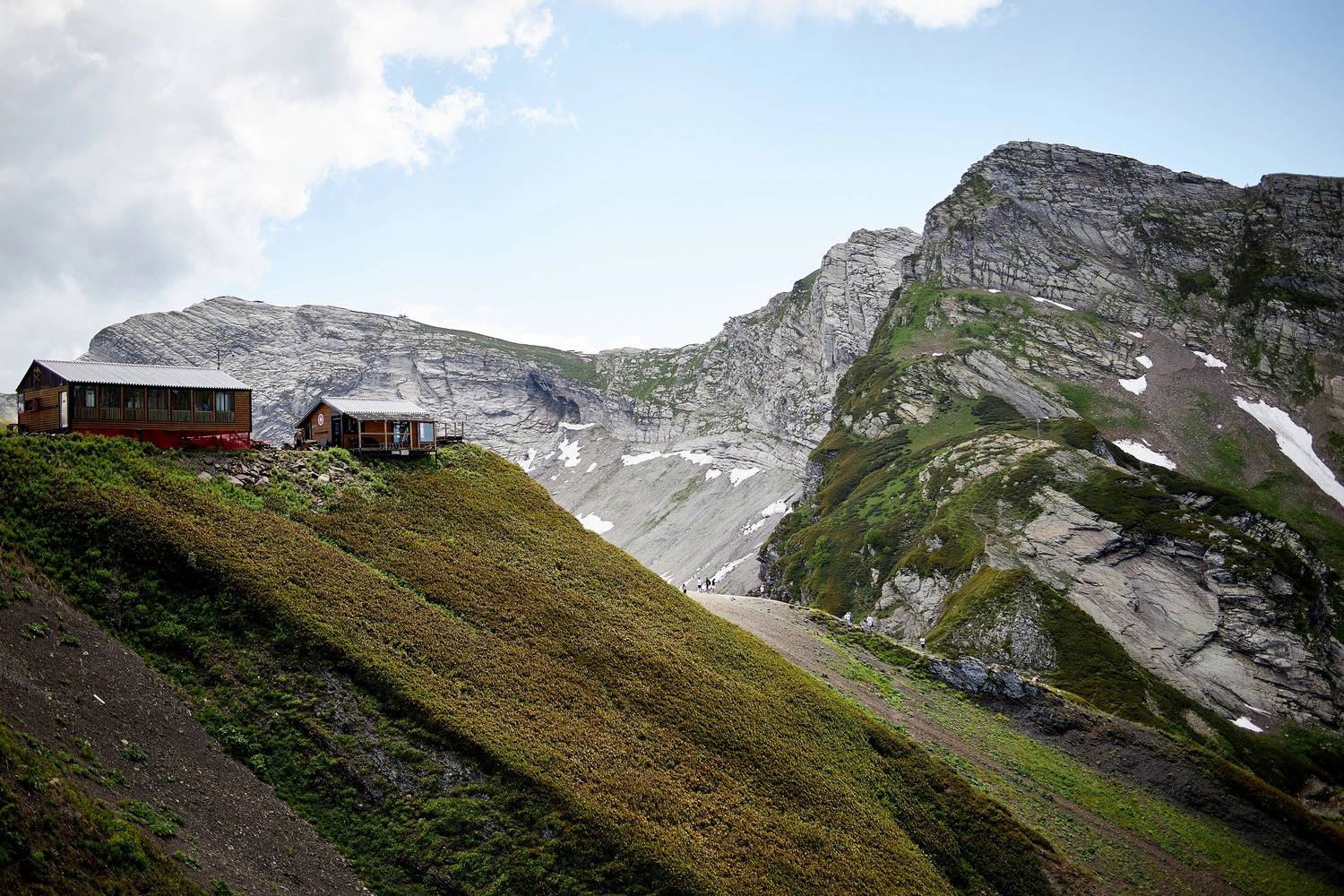 , Франгони Владимир