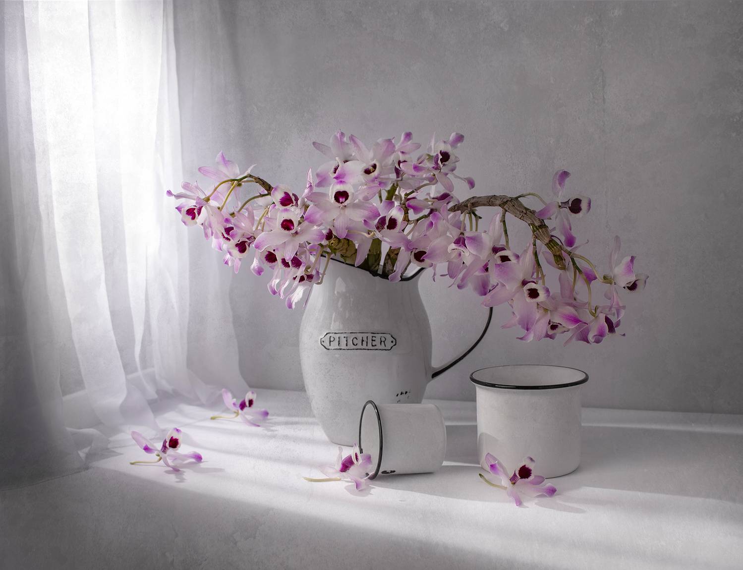 Still life, sun, light, studio, flowers, orchid, white, Maria Margareth Perfoncio