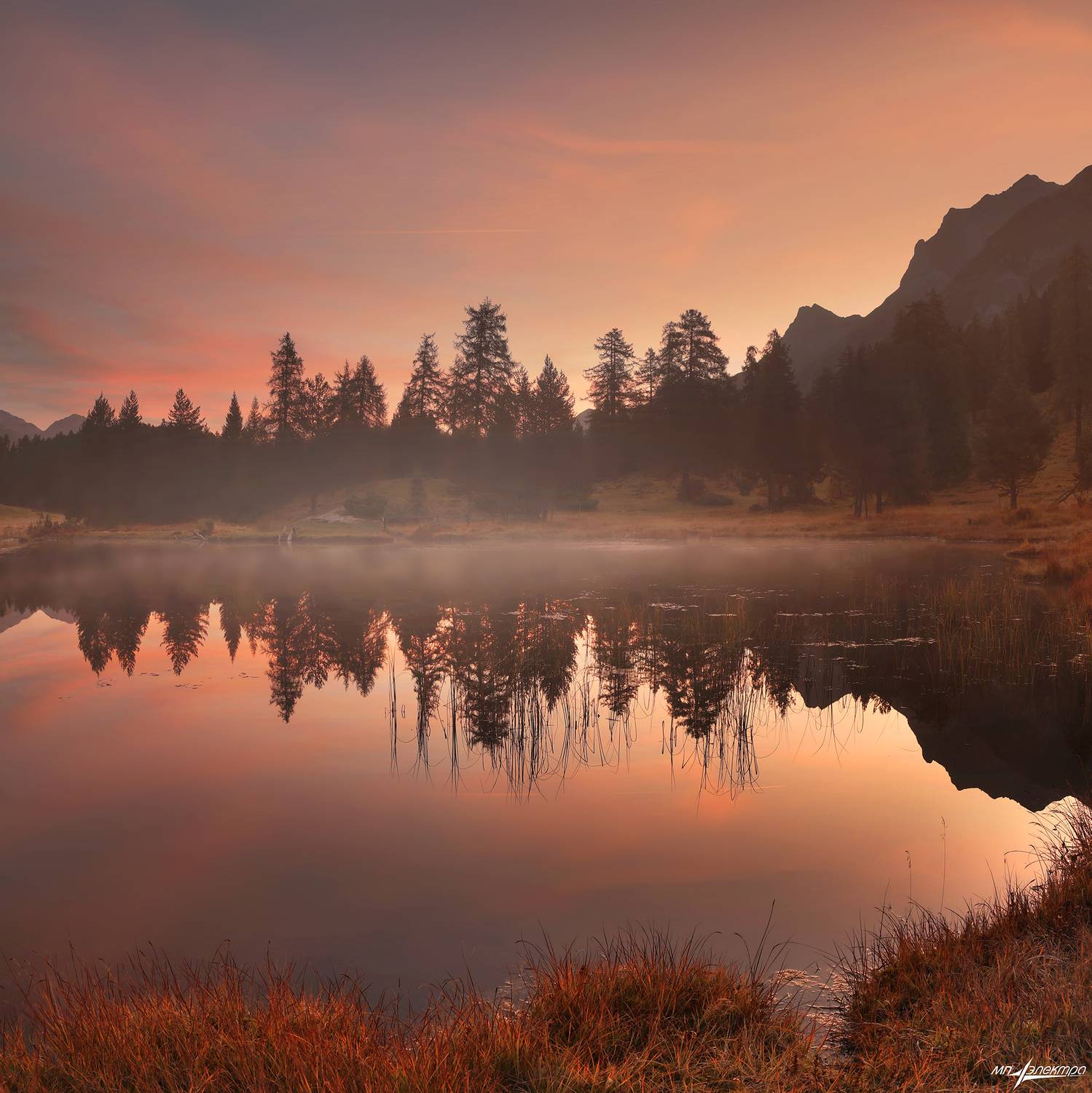 swiss, Матвеев Николай