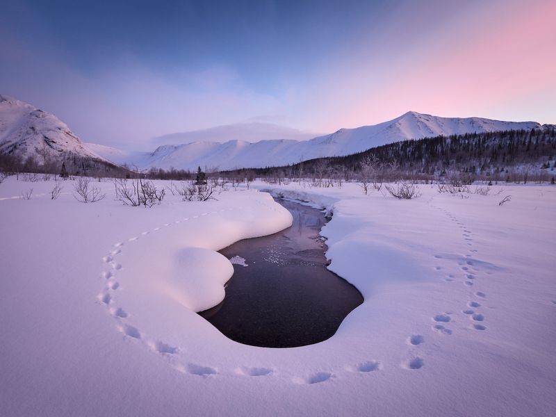 Тут кто-то проходил фото превью