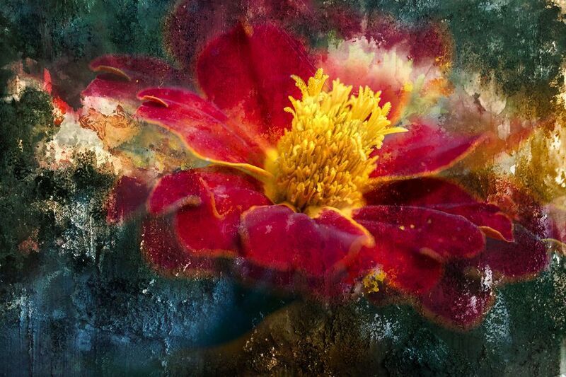 Fantasy of September фото превью