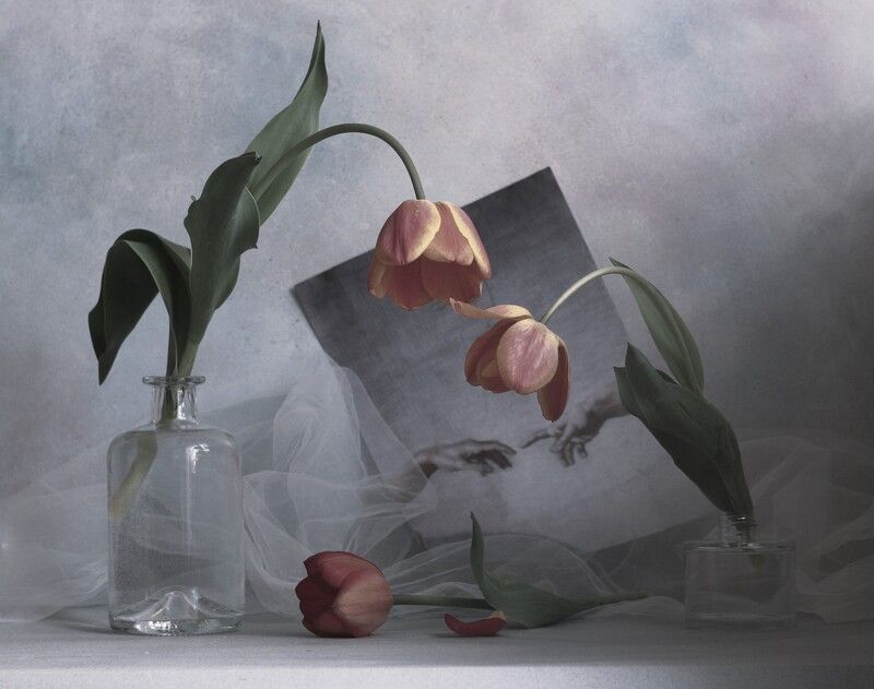 Любовь.... Третий лишний... фото превью