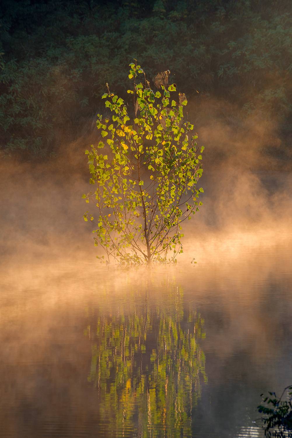 , Любослав Любомиров