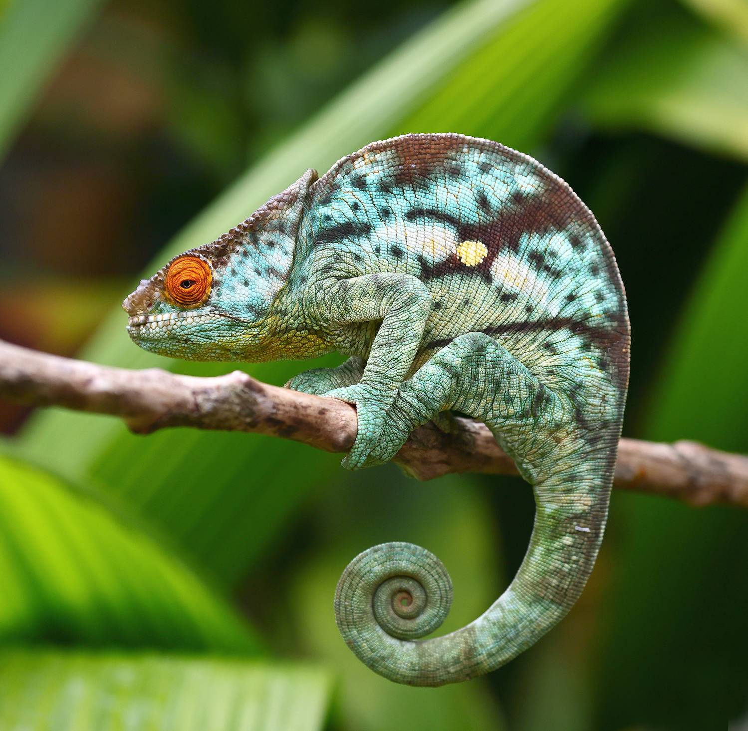 , Гудков Андрей