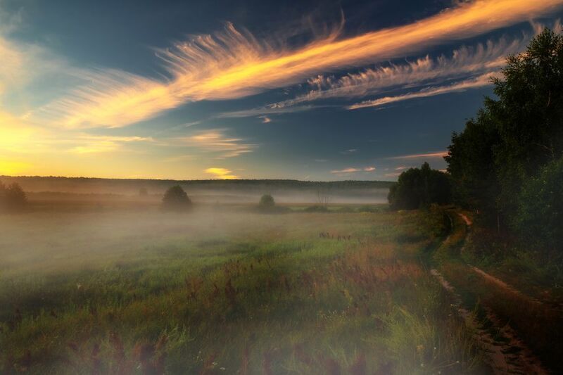 abashkin sergey, абашкин сергей,природа, forest, nature, туман, россия, облака, лес, дорога, нижний новгород, нижегородчина Утро фото превью