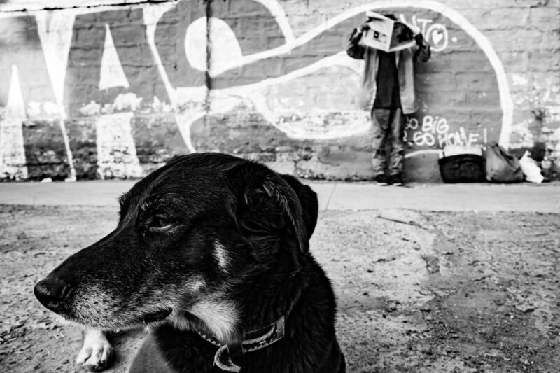 streetphotography, street, fotografía callejera, bastian cifuentes araya, periodista furioso, streetphoto, street photo, street photography, dog, doglover SIN TÍTULO фото превью