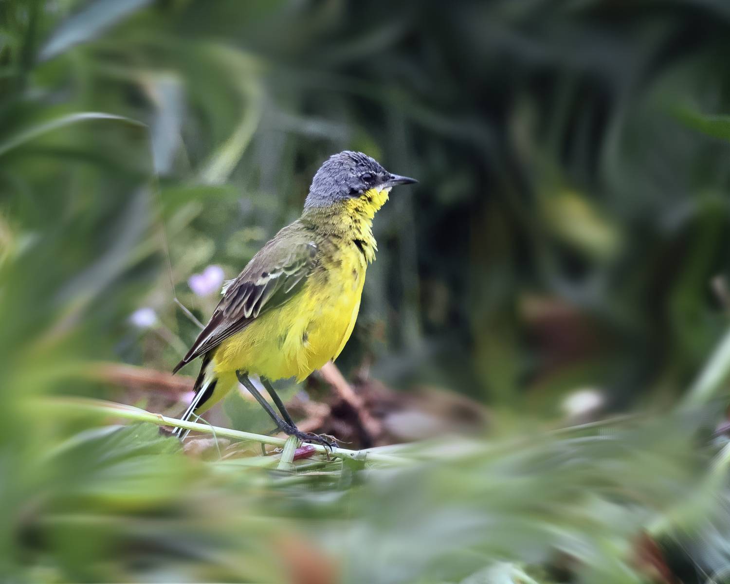 , Александр Титов