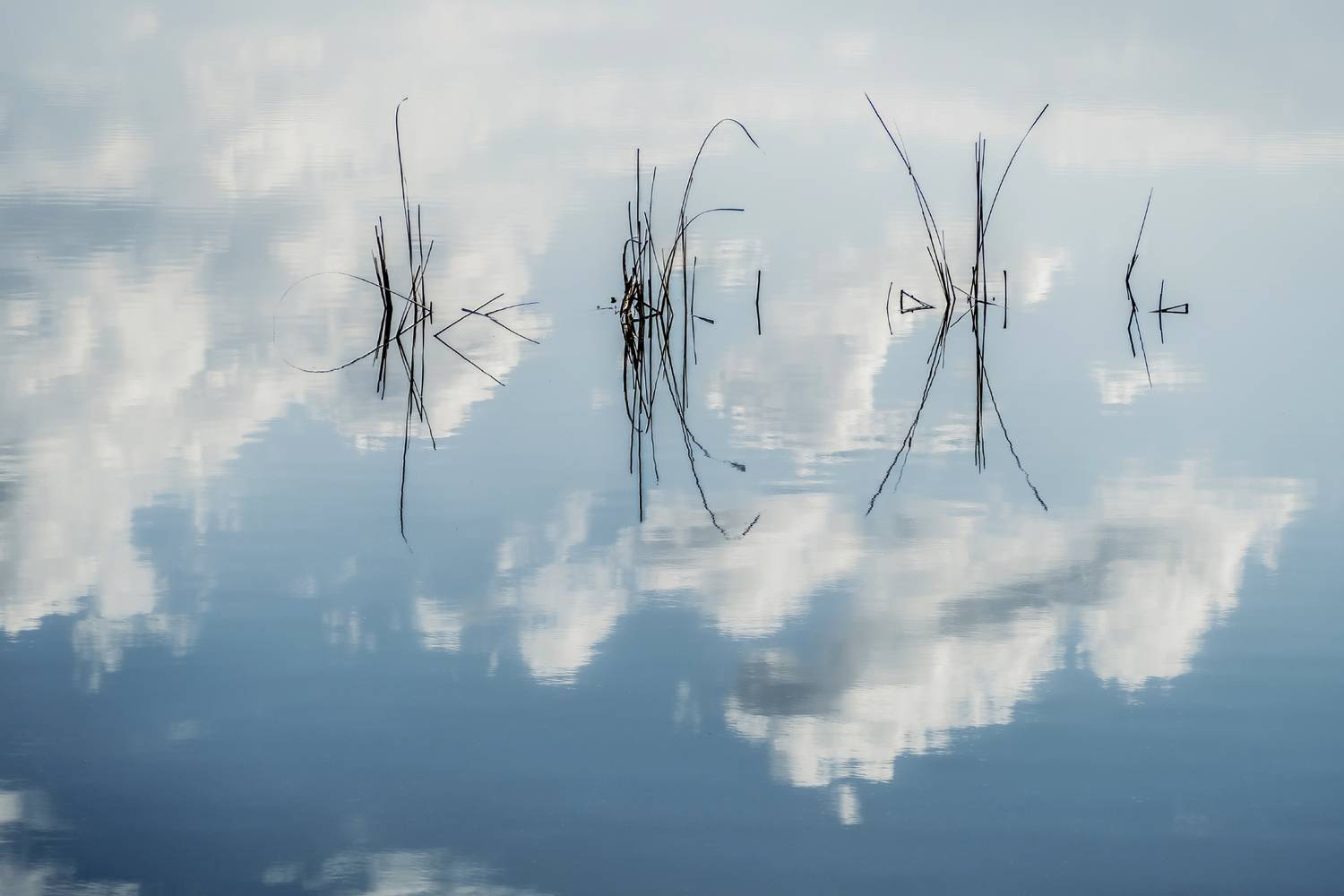 вечер, отражения, озеро, Владимир Штыриков