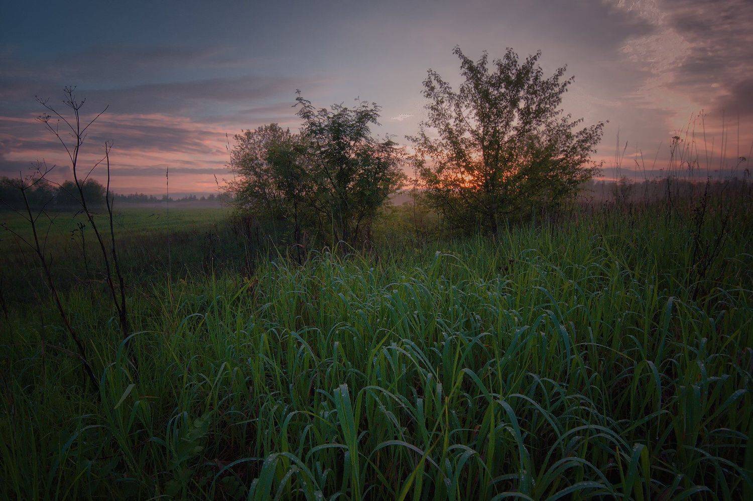 , Алексей Никонов