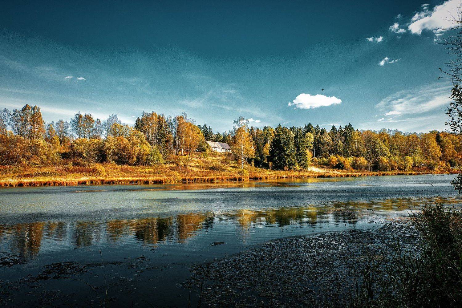 природа, пейзаж, осень, Плотников Андрей