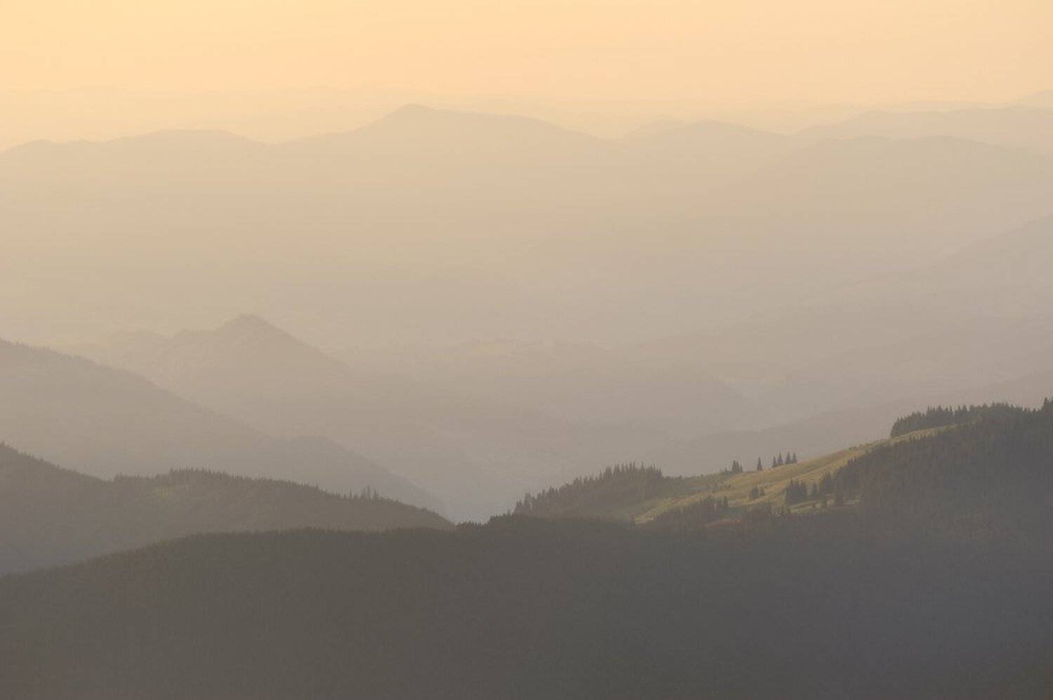 , Артур Козлов