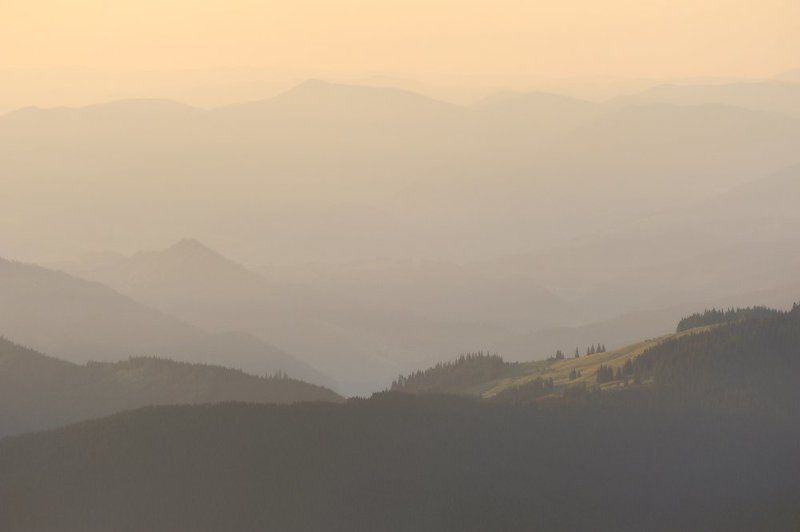 * * * фото превью