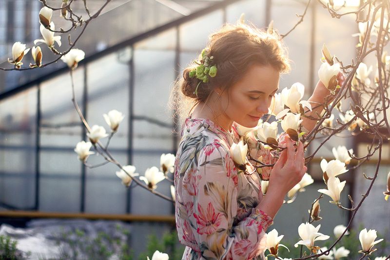 Магнолия фото превью