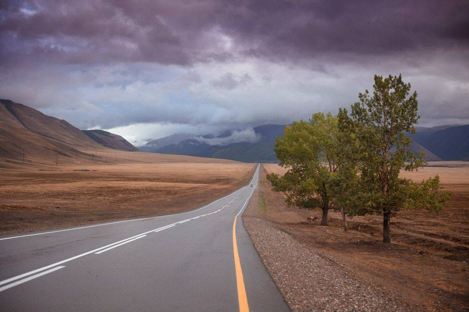 Чуйский, тракт, горный, алтай, пейзаж, роман, карамышев, степь, Роман Карамышев
