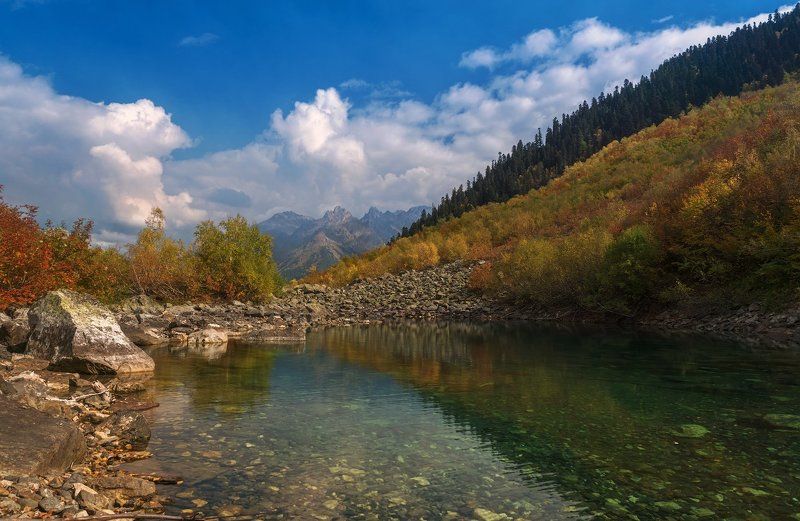 Бадук фото превью