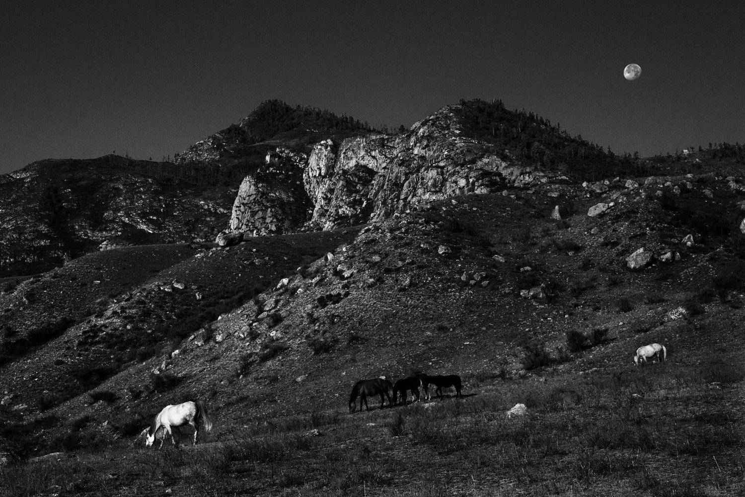 , Рудик Валерий