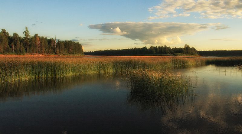 ********** фото превью