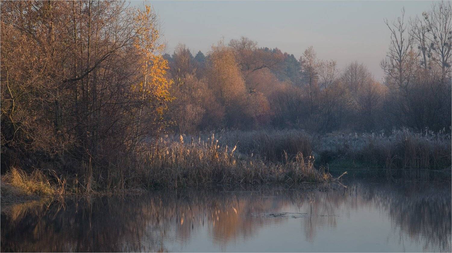 , Николай Шахманцир