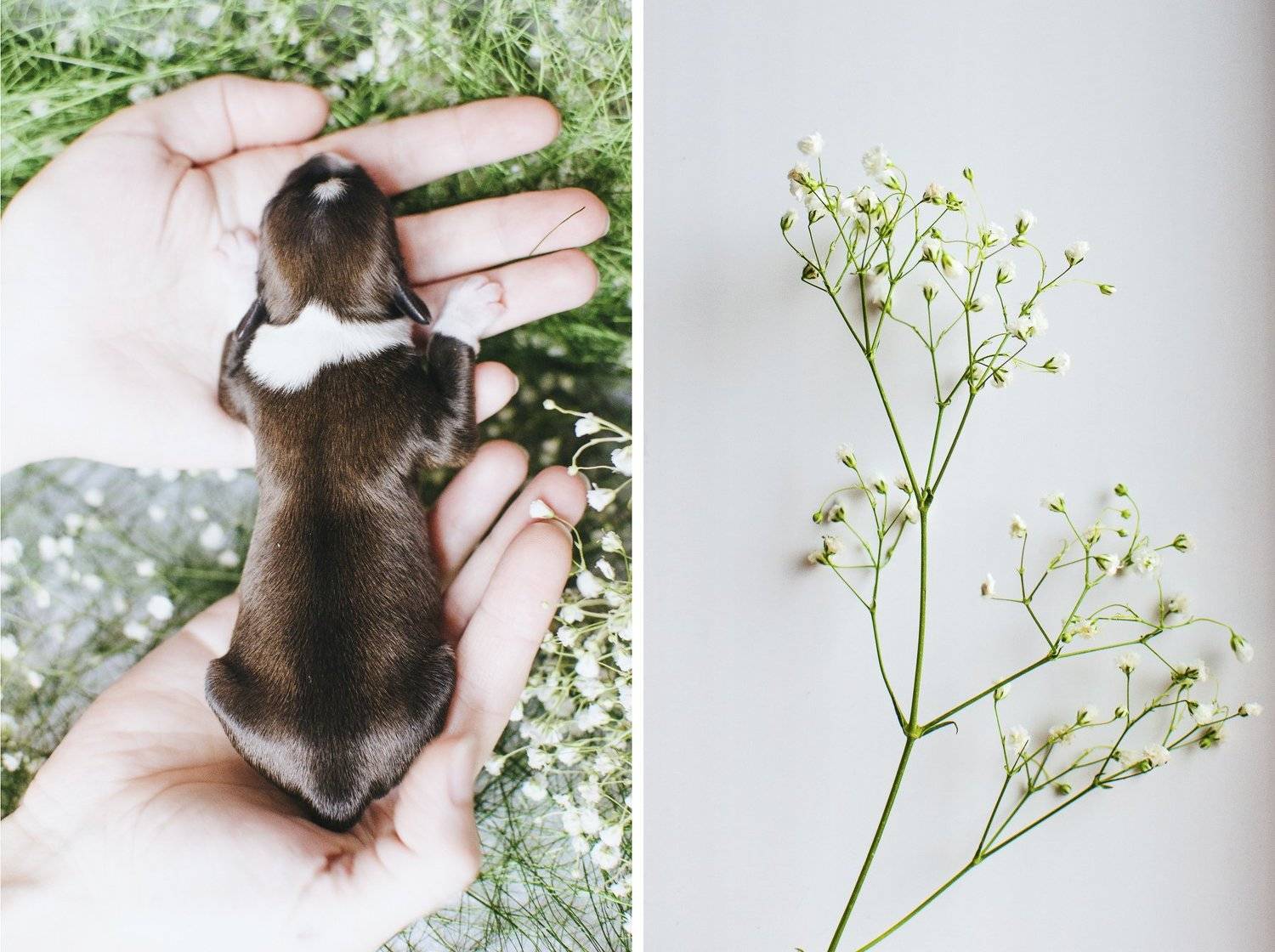 , Юлия Булыня