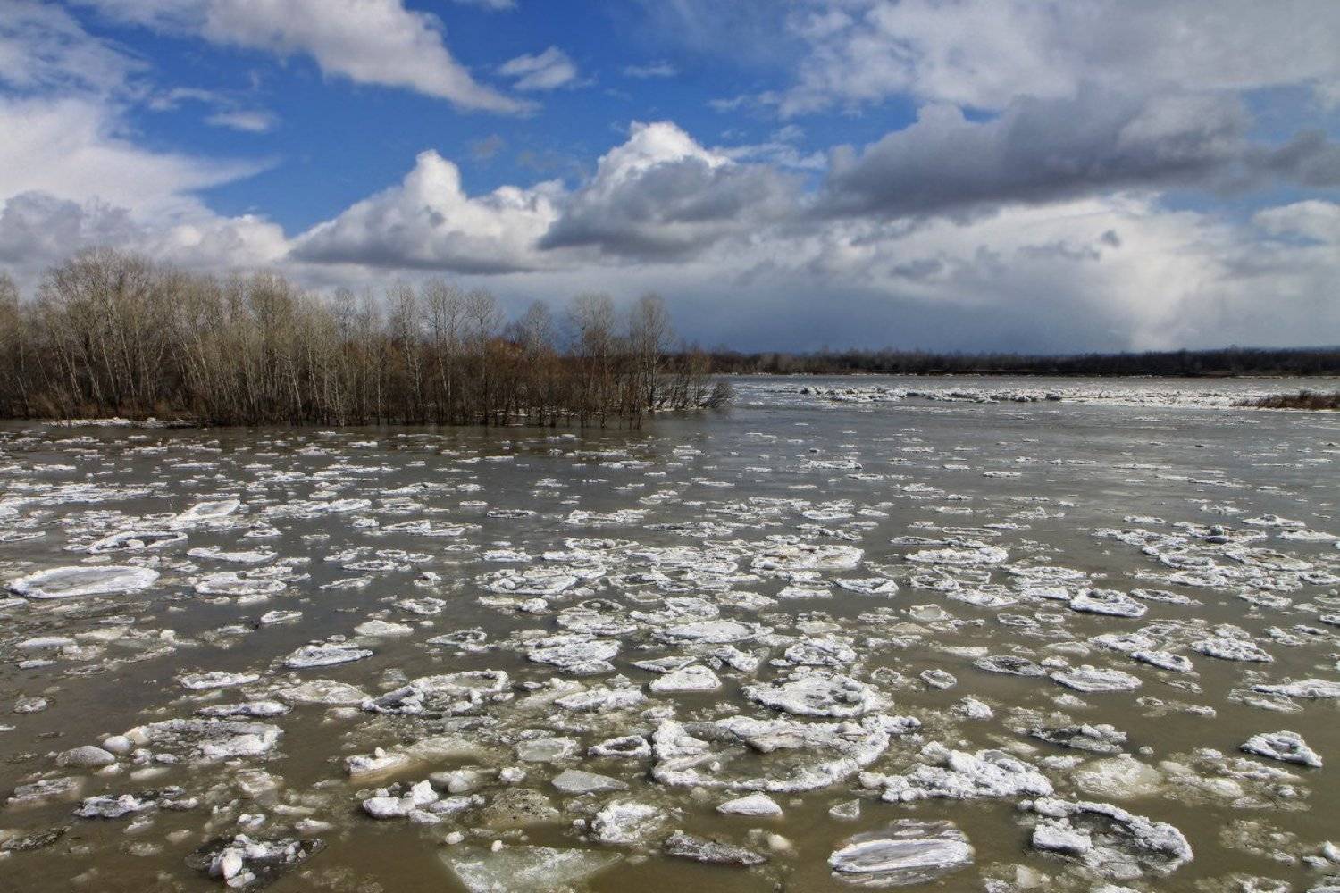 новокузнецк, томь, ледоход, весна, Галина Хвостенко