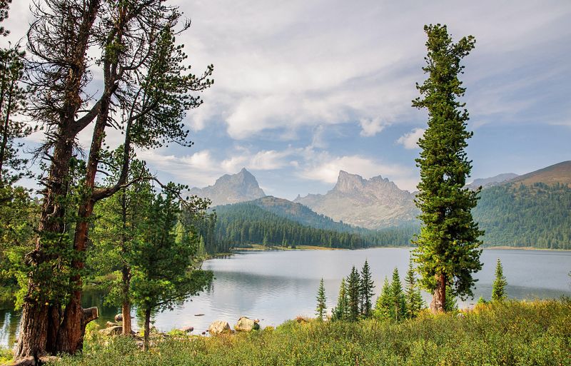 вечером на Светлом фото превью