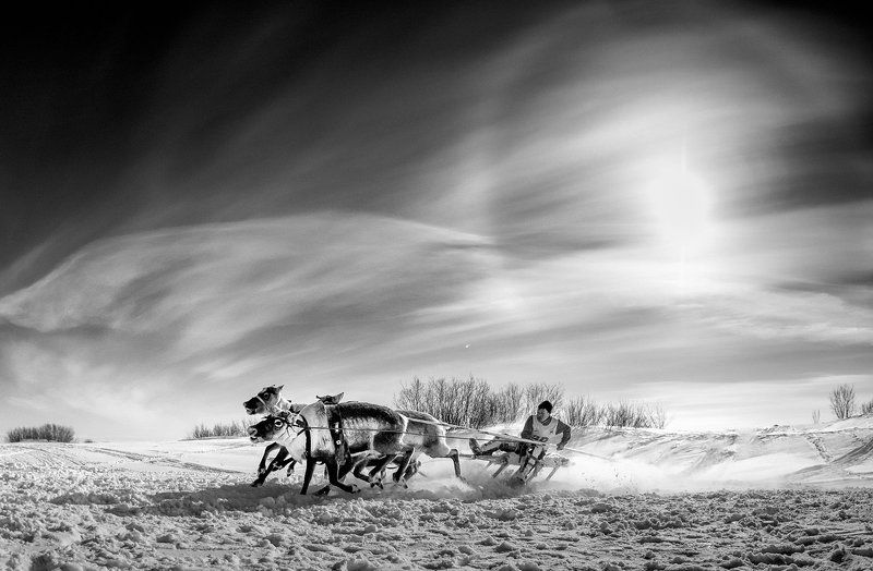 Черно-Белый Ямал фото превью