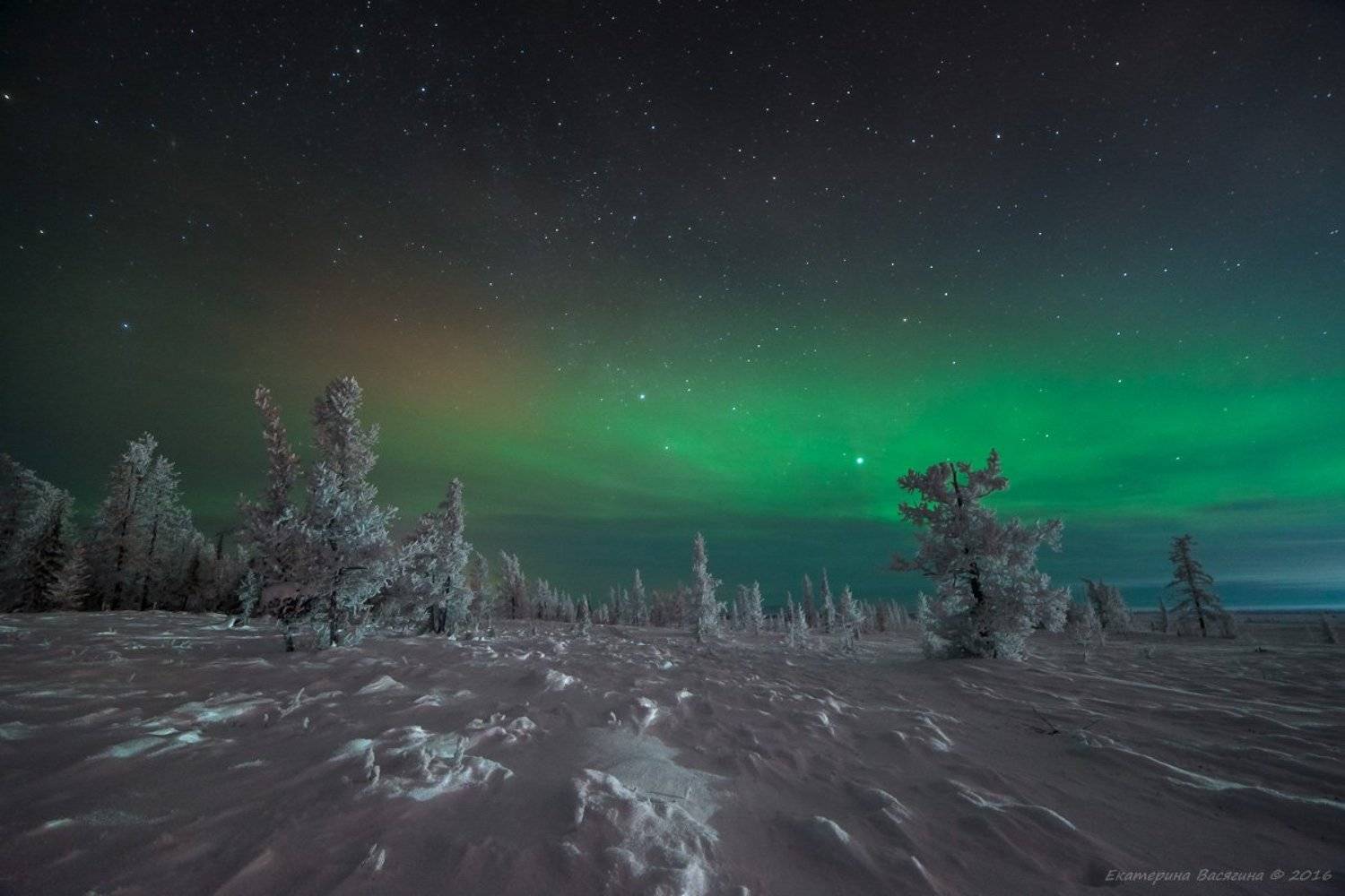 ямал, зима, сияние, Екатерина (PhotoJourneys.ru) Васягина